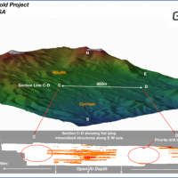 Gold Mineralized Structures